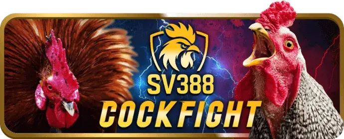 Cá cược thể thao khin789